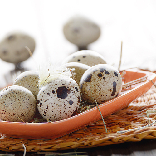 Fresh organic quail eggs in orange clay plate on wooden rustic kitchen table. Space for text