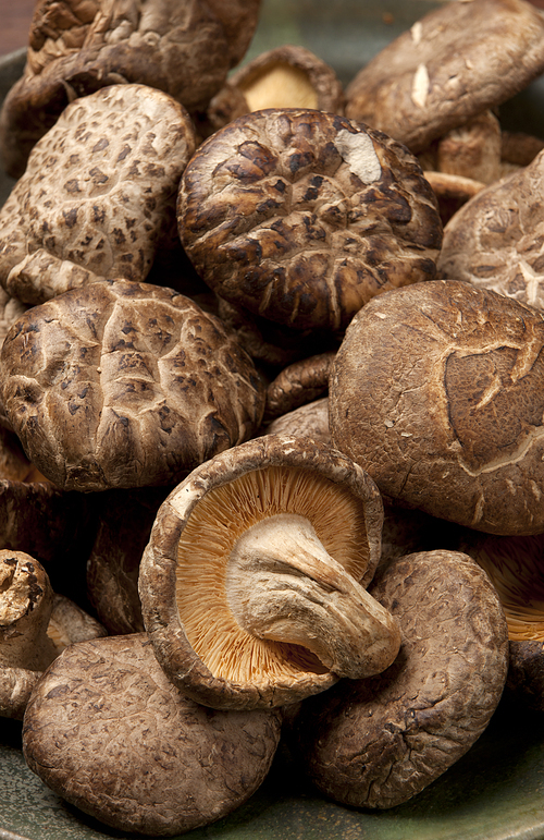 A close up image of a bunch of dried shitake mushrooms.