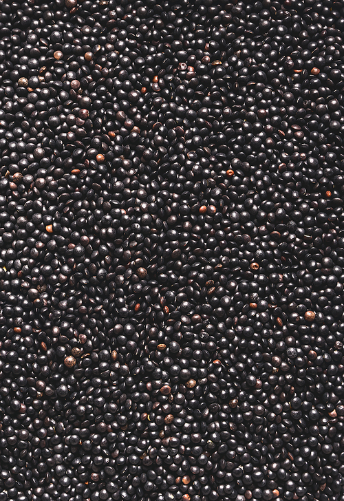 Black lentils background. Protein rich vegan foods. Plant based protein  source. Top view. Texture