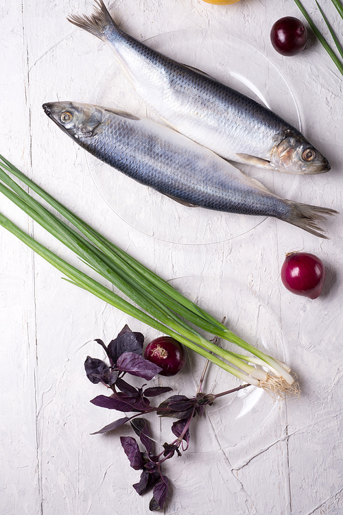 salted whole herring  on a transporant plate with defferent onions and seasonings. served in Scandinavian style. Typical cooking fish in Scandinavian countries.