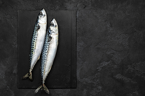 Mackerel. Fresh raw fish, top view, flat lay