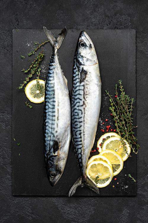 Mackerel. Fresh raw fish with ingredients for cooking, top view, flat lay