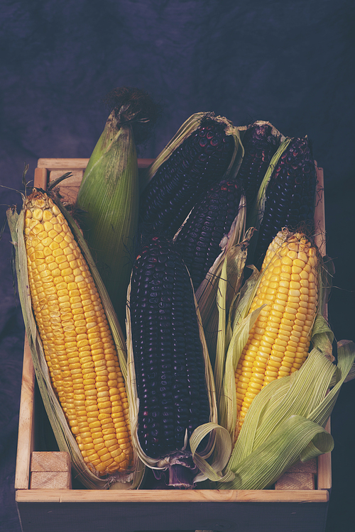 variety organic corn for food