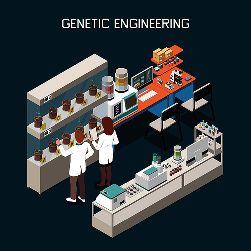 Genetics isometric concept with scientists and laboratory with equipment for genetic engineering 3d vector illustration