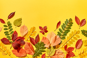 Handmade multicolored leaves pattern on an yellow background with hard shadows. Greeting card.