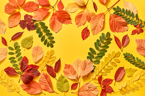 Greeting card from colorful leaves on an yellow background with copy space. Flat lay.