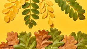 Handmade decorative composition from autumn leaves on an yellow background with copy space. Congratulation postcard. Flat lay.