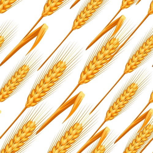 Seamless pattern with wheat. Agricultural image natural golden ears of barley or rye.