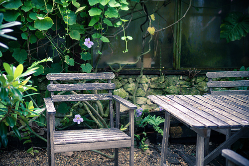 old wooden set for outdoor furniture in tropical garden, cafe table