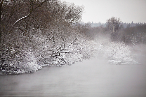 Snow and frost on the trees and bushes over misty river. Overcast snowy weather.