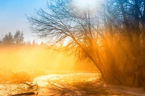 Winter misty country road in morning sunlight. Winter foggy rural scene. Winter park. Belarus