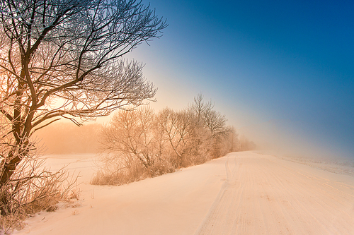 Winter misty country road in morning sunlight. Winter foggy rural scene. Frozen river coverd with snow. Winter park. Belarus