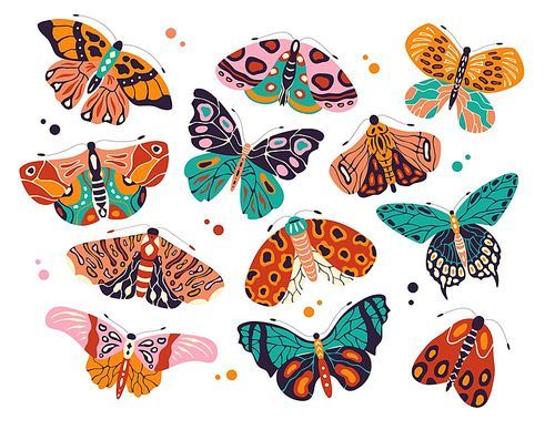 Collection of colorful hand drawn butterflies and moths on white background. Stylized flying insects with decorative elements, vector illustration.