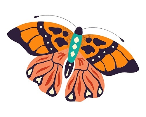 Colorful hand drawn butterfly illustration on white background. Stylized flying insects, decorative elements, vector illustration.