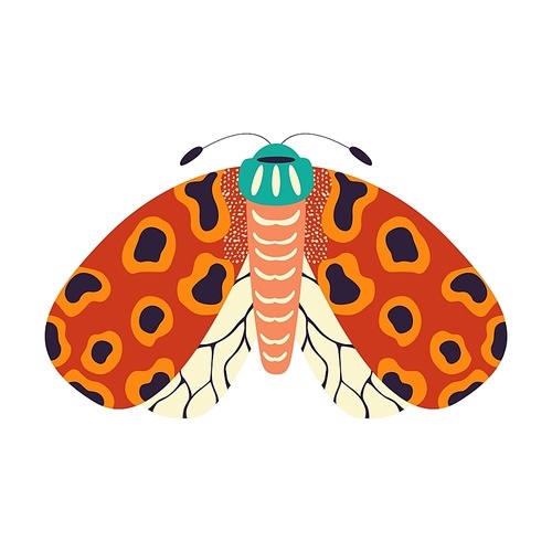 Colorful hand drawn moth illustration on white background. Stylized flying insects, decorative elements, vector illustration.