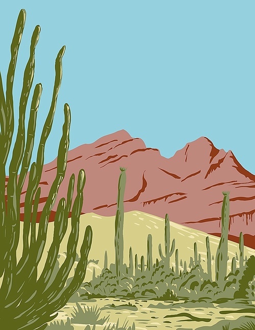 WPA poster art of the Organ Pipe Cactus National Monument and biosphere reserve located in Arizona that shares border with the Mexican state of Sonora done in works project administration style style.