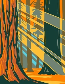 WPA poster art of sunlight through the giant sequoia trees of Sequoia national park located in Sierra Nevada, California done in works project administration style or federal art project style.