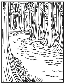 Mono line illustration of an old growth bottomland hardwood forest in Congaree National Park in central South Carolina, United States done in retro black and white monoline line art sty