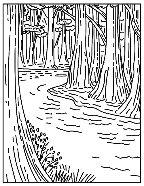 Mono line illustration of an old growth bottomland hardwood forest in Congaree National Park in central South Carolina, United States done in retro black and white monoline line art sty