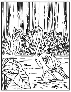 Mono line illustration of a flamingo wading in subtropical wilderness of Everglades National Park, Florida, United States of America done in retro black and white monoline line art style.
