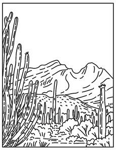 Mono line illustration of Organ Pipe Cactus National Monument in the Sonoran Desert located in extreme southern Arizona, United States done in retro black and white monoline line art style.