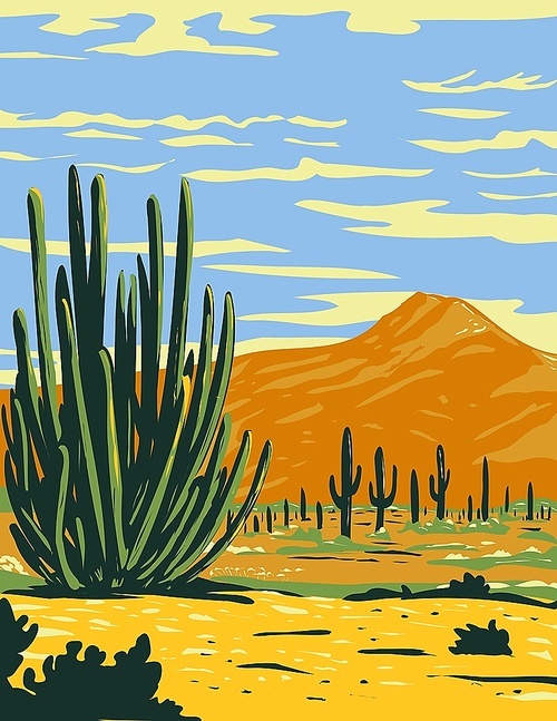 WPA poster art of stenocereus thurberi growing in Organ Pipe Cactus National Monument located in Arizona, United States and the Mexican state of Sonora done in works project administration style.