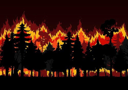 Forest fire with burning trees and smoke vector design of save environment and wild natural disaster. Wildfire or bushfire nature background of wood landscape with trees, red fire flames and sparkles