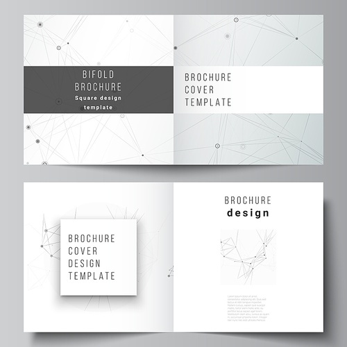 Vector layout of two covers templates for square bifold brochure, flyer, magazine, cover design, book design, brochure cover. Gray technology background with connecting lines and dots. Network concept.