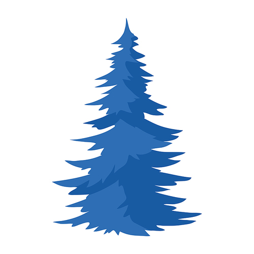 Illustration of spruce. Natural icon or image of blue tree.