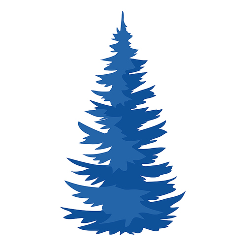 Illustration of spruce. Natural icon or image of blue tree.