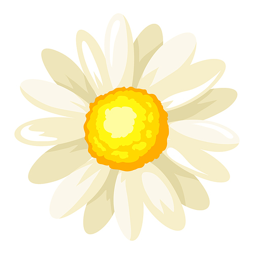 Illustration of chamomile flower. Adversting icon or image for industry and business.