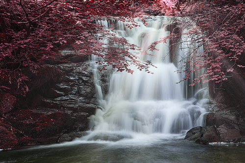 Epic waterfall in forest landscape image with added drama of false color on trees in woodland