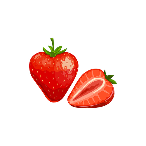 Strawberry isolated vector wild or garden berry, ripe plant with green stem on white . Cartoon fresh whole and half berries, healthy food, organic natural raw production, design element