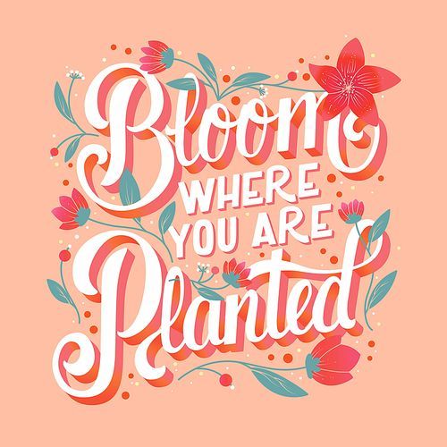 Colorful decorative handwritten typography design with flowers and decoration. Spring hand lettering illustration design.