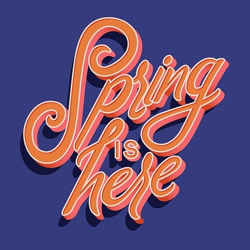 Colorful decorative handwritten typography design with spring is here text. Spring hand lettering illustration design. Colorful flat vector illustration.