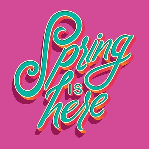 Colorful decorative handwritten typography design with spring is here text. Spring hand lettering illustration design. Colorful flat vector illustration.