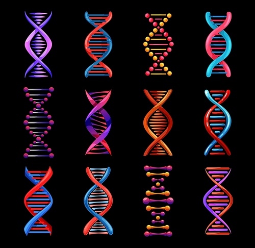DNA helix isolated icons, vector genetics medicine and biotechnology science. Gene legacy double strands of DNA molecules, human genome evolution, gene cell and chromosome chain symbols