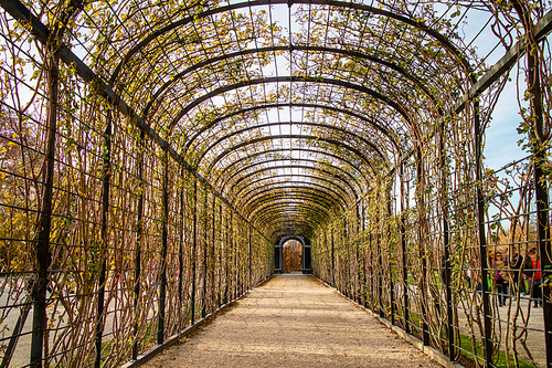 Abstract perspective view of arched tunnel, pergola for climbing plants and flowers in the park in Vienna, Austria on autumn day.