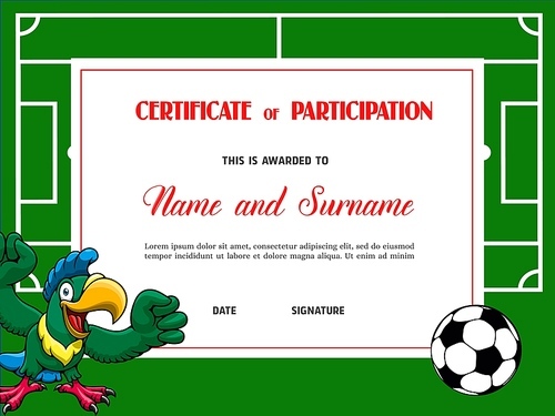 certificate for soccer tournament participation. football club diploma vector template. sports award border design with ball and funny parrot cartoon mascot on green field, sport achievement