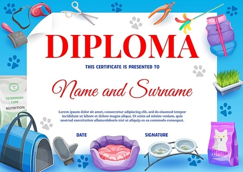 cat or kitten pet animal care diploma with vector background  of cartoon pet supplies. certificate or diploma of graduation, achievement or appreciation award template with cat food, bowls, toys