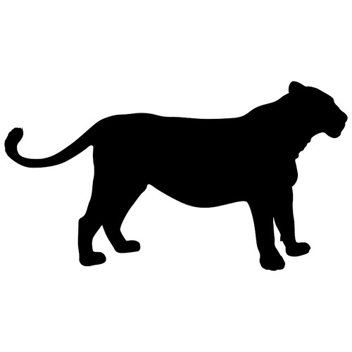 Silhouette of the lioness on a white background.