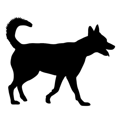 Shepherd dog black silhouette on white background.
