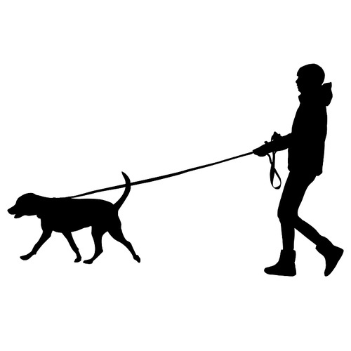 Silhouette of woman and dog on a white background.