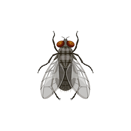 Fly icon, pest control and insect parasite, blowfly vector isolated. Pest control disinsection, disinfection and extermination symbol of parasite flies, domestic and agriculture insects disinfestation