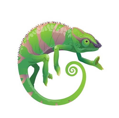 Chameleon vector icon, cartoon lizard with green skin and stripes, long curvy tail and telescopic eyes. Wild animal, pet reptile, exotic chameleon tropical creature, isolated on white ,