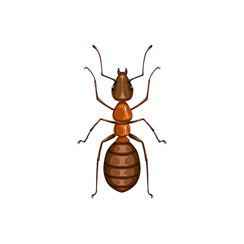 Ant icon, insect pest control, parasites extermination and disinsection service, isolated vector. Ant vermin insect, domestic and agriculture pesticide pest control symbol