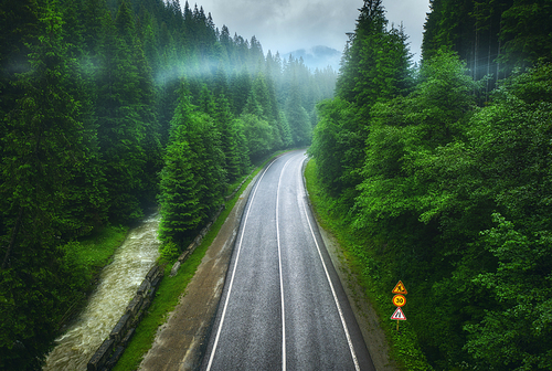 Aerial view of road in beautiful green forest in low clouds in rainy summer day. Colorful landscape with roadway in fog, pine trees, river in Carpatian mountains. Top view of road. Travel in Ukraine