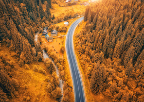 Aerial view of road in beautiful orange forest at sunset in autumn. Colorful landscape with roadway, trees in fall. Carpathian mountains. Top view from drone of winding road. Autumn colors. Travel