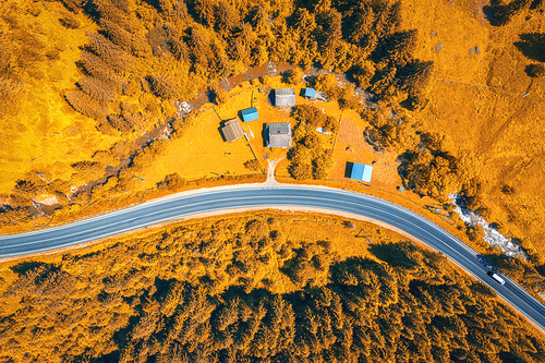 Aerial view of road in beautiful orange forest at sunset in autumn. Colorful landscape with roadway, trees in fall. Carpathian mountains. Top view from drone of winding road. Autumn colors. Travel