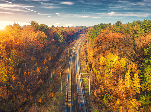 Aerial view of beautiful railroad in autumn forest at sunset. Industrial landscape with railway station, blue sky with clouds, trees with colorful orange leaves. Top view of rural railroad in fall
